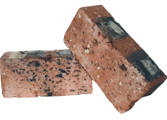 Solid_A_NFX_edited-removebg-preview